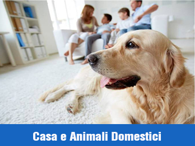 CASA E ANIMALI DOMESTICI